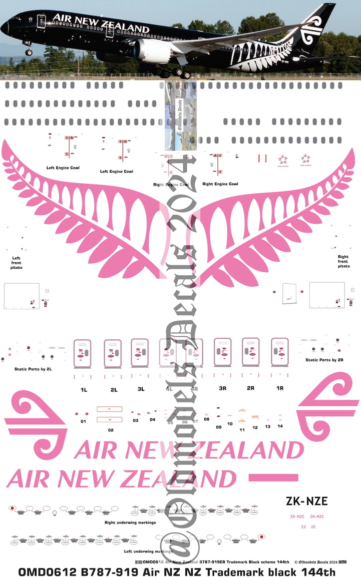 (image for) OMD0612 Boeing B787-919 Air New Zealand