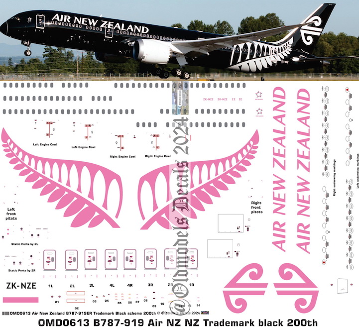 (image for) OMD0613 Boeing B787-919 Air New Zealand
